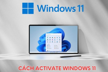 activate-windows-11